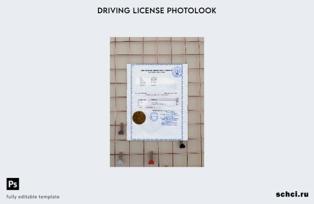 цифровая загрузка водительских прав Мьянмы БЕСПЛАТНЫЙ шаблон фотообзора